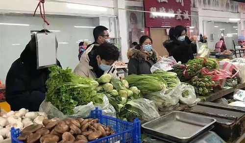 白城市扎實推進“兩節”期間農產品質量安全宣傳與檢測工作