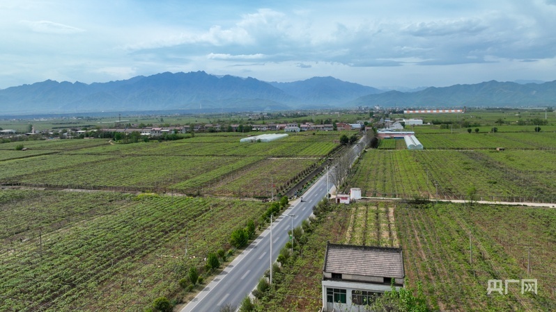 鄉路上，感受脈動中國——美麗鄉路服務提質，地標鮮果助力振興